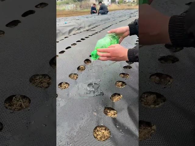 Watch This Before Planting: Essential Tips for Farmers