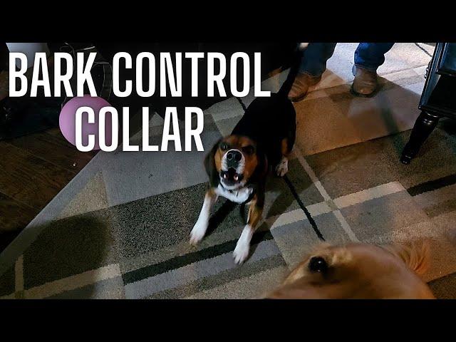 Full demo of the smart dog bark control collar