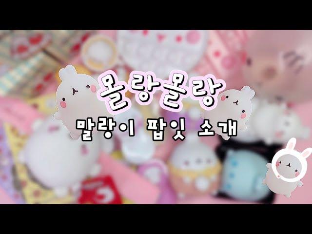 [ 몰랑이 ◍•ㅅ•◍ 말랑이 팝잇 소개 ] 몰랑몰랑한 몰랑이 모음 | 가격도 알아보기⭐️ | 말랑이랑 | molang