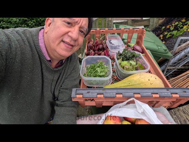 End Of September Harvest, Allotment Gardening Diary