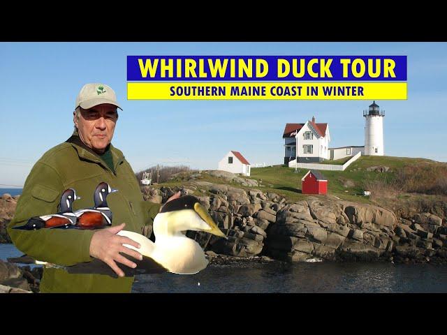 SPEED BIRDING the Southern Maine Coast in Winter