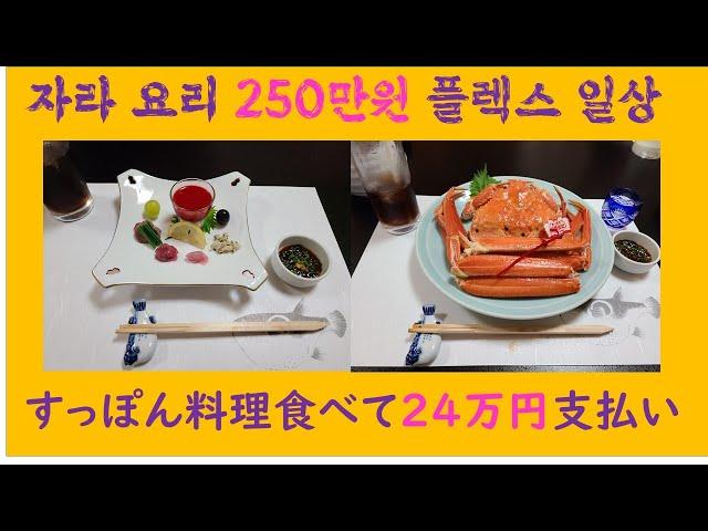 도쿄 Tokyo VLOG_ 자라요리 250만원 FLEX/ すっぽん料理２４万支出