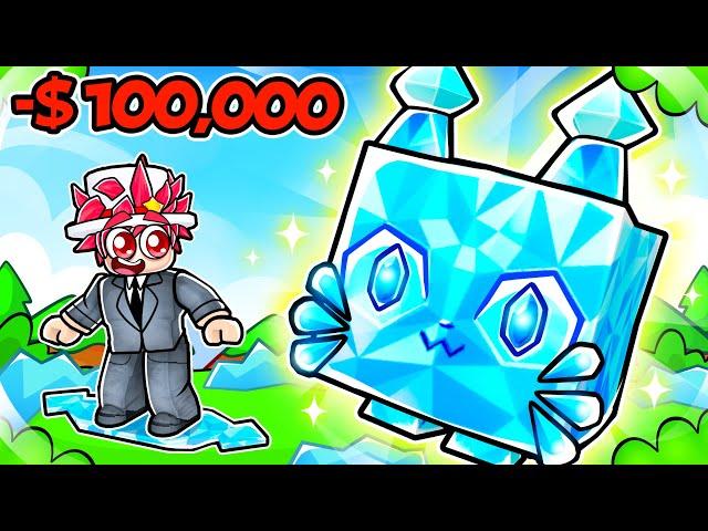 Spending $100,000 To Get HUGE DIAMOND CAT And Hoverboard!