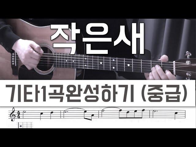 작은 새  - 기타1곡완성하기 (중급) - 1교시