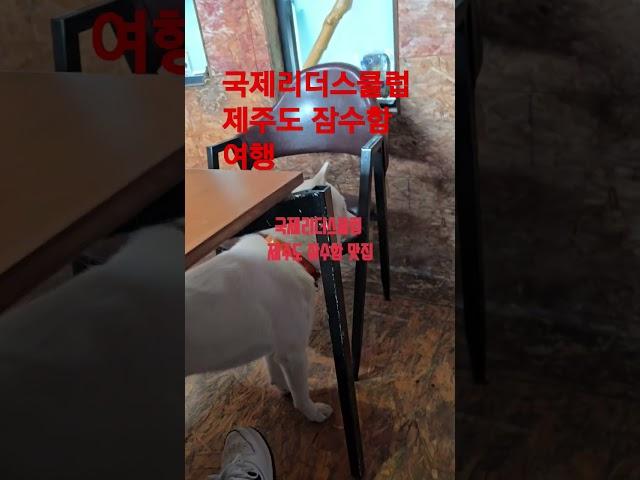 제주 여행 국제리더스클럽 제주 잠수함 여행 함덕읍 국제리더스클럽