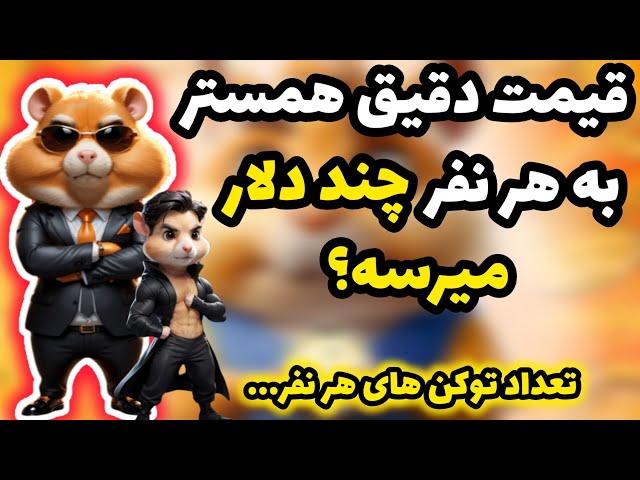 قیمت همستر  درآمد هر نفر چند دلاره؟ براساس پروفیت و اچیومت ها | به هر نفر چند توکن میرسه؟ 