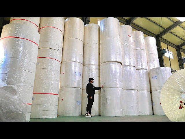 Paper Towel Mass Production Factory. Manufacturing Process for 4 types of Paper Towel.