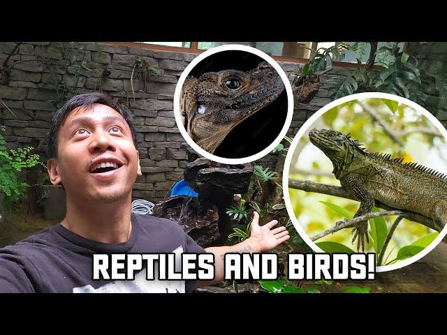 My Aviary Officially Has Reptiles | Vlog #1756