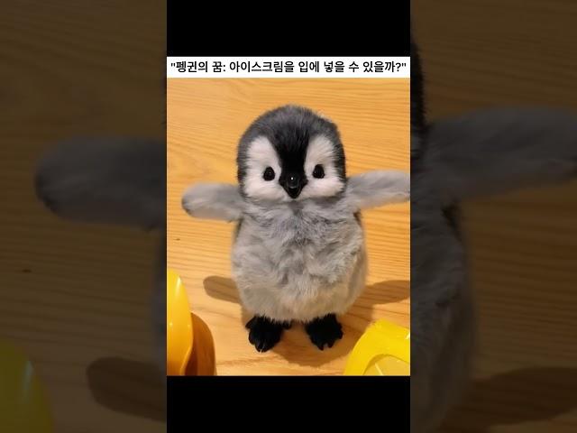 "아기 펭귄, 첫 아이스크림 도전! "