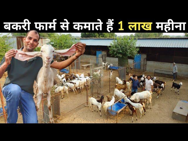 नौकरी जाने पर गाँव में शुरू किया Goat Farm | Goat Farming | Bakri Farm Business | Goat Farm Tour