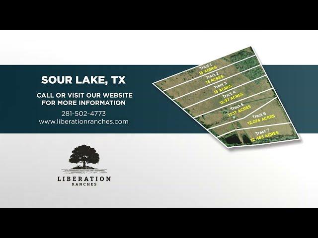 SOUR LAKE, TX | 12+ acres | Owner Financing