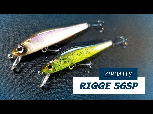 ZipBaits Rigge 56SP - Neue Farben 2024 - Nippon Tackle Produkt Update