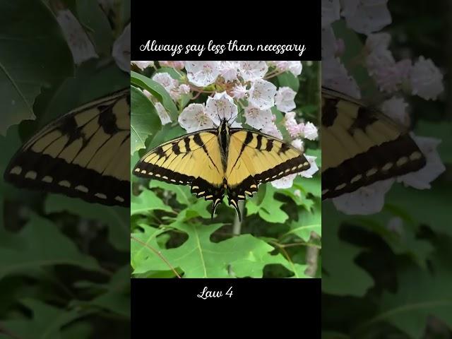 The 48 laws of power #nature #butterfly #butterflies @SITHEEQUE