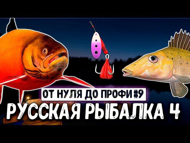 RF4 СБОРКИ ДЛЯ КУОРИ, ФАРМ СЕРЕБРА, ЛОВЛЯ РАЗМОТА, ПЛАНЫ #рр4