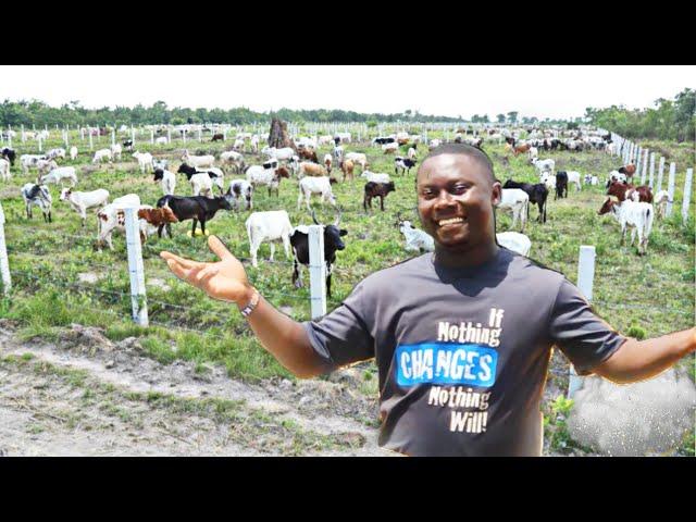 Wow…50 acre cattle ranch owned and managed by women| Black women in commercial farming