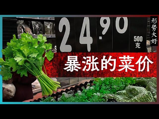 暴涨的菜价 —— 谈谈蔬菜价格暴涨的政治逻辑