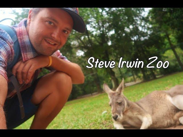 Steve Irwin Zoo Tour, Australia