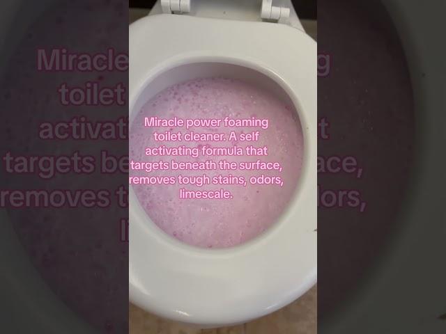 Toilet cleaner from the pink stuff #cleanit #cleantok #homeclean #cleantok #walmart