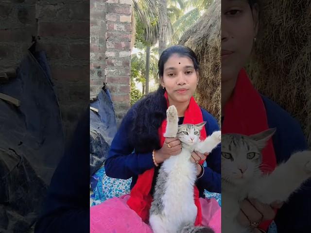 Amar Ghore Thako Re Bilai Amar Ghore Khao # kakuli007# biral#pusi#trending #youtube #shorts
