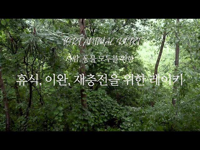 휴식, 이완, 재충전을 위한 레이키 ㅣ 불면증, 깊은 휴식, 만성 피로, 무기력에 좋은 레이키