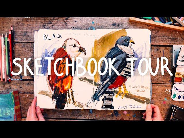 3 Years Of Artistic Growth: Sketchbook Tour & Progress