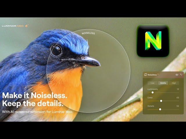 First Impressions: Noiseless AI in Luminar Neo