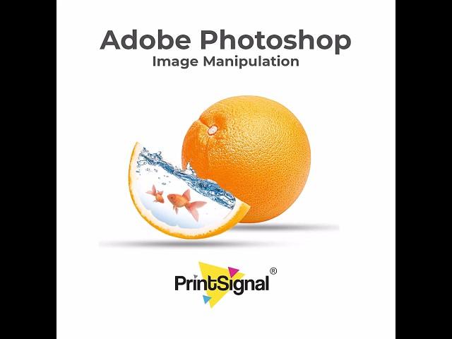 Image Manipulation Technique | Adobe Photoshop Tutorial for Beginners | #PrintSignal #PrintsGuide
