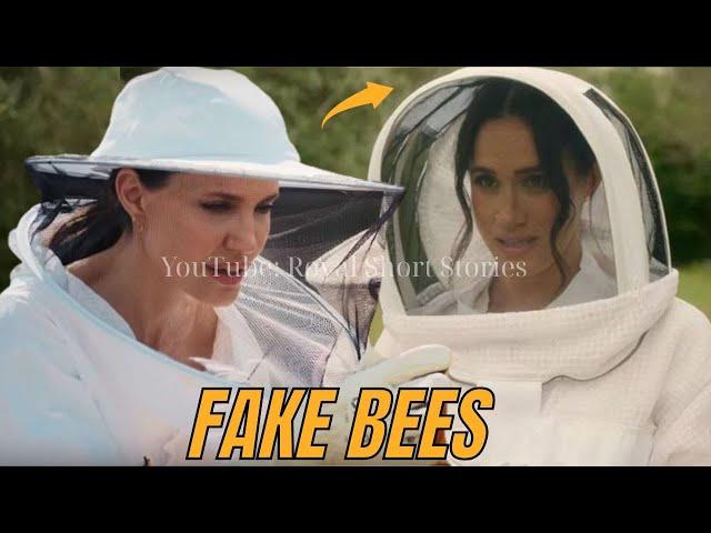 COPYCAT! Angelina Jolie Rolls Her Eyes at Meghan Markle’s Beekeeper Barbie Stunt