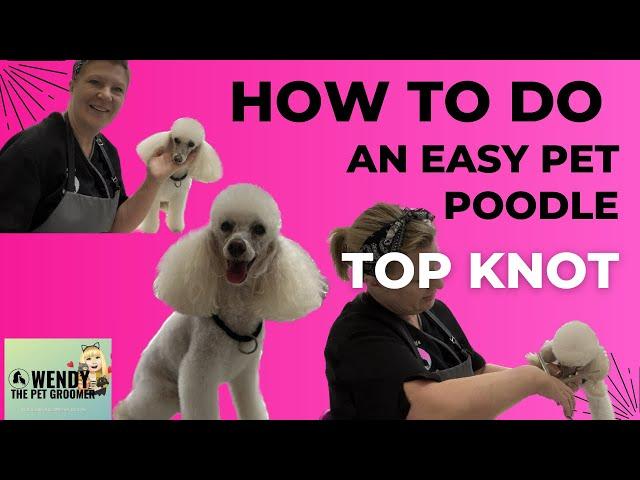 Perfect Poodle Top Knot Tutorial: Step-By-Step Guide For Pet Grooming | WendysPetSalon.co.uk