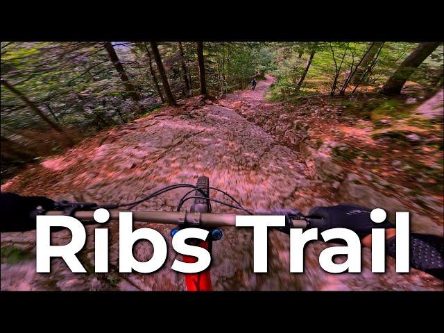 Dolomiti Paganella Bike 2024 - Ribs Trail