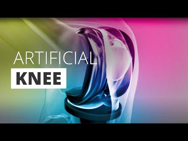 Kniegelenk und Knorpel / Knee-joint and cartilage. 3d#medicalanimation  of knee- joint.