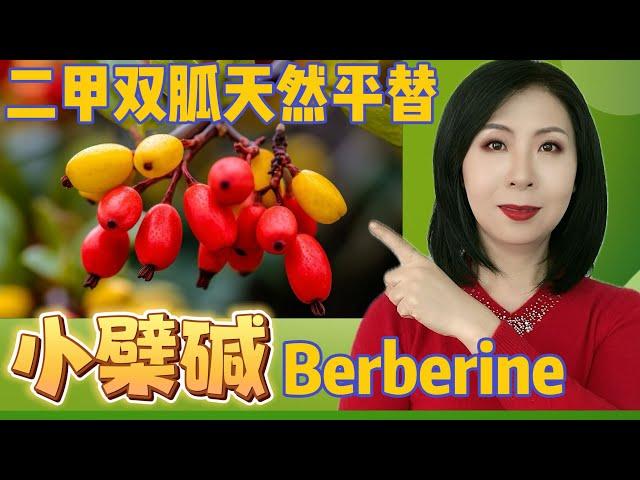 小檗碱Berberin，二甲双胍天然替代品，降糖降脂抗癌抗衰老一样不少，但副作用更小