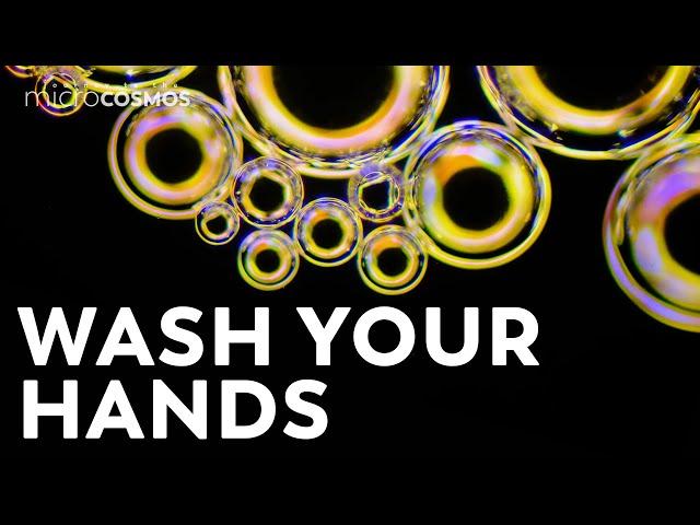 The Terrifying Viruses of the Microcosmos