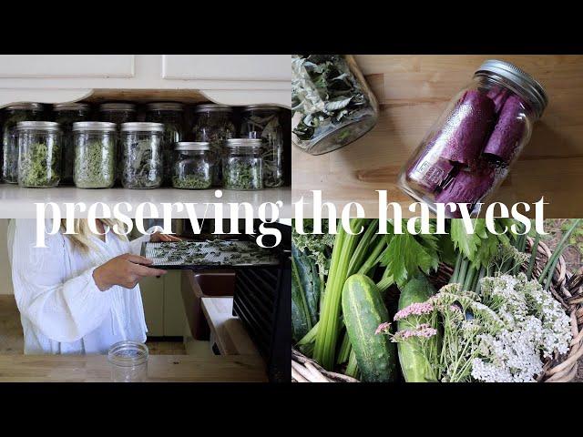 One of my FAVORITE Forms of Food Preservation | Preserving the Harvest | Homestead Pantry