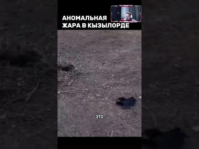 Аномальная жара в мае шокирует всех!
