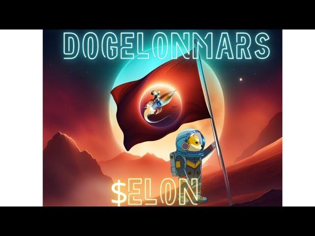 DOGELON MARS YOU MUST FIGHT FOR YOUR 98X LIFESTYLE HOLD THE LINE