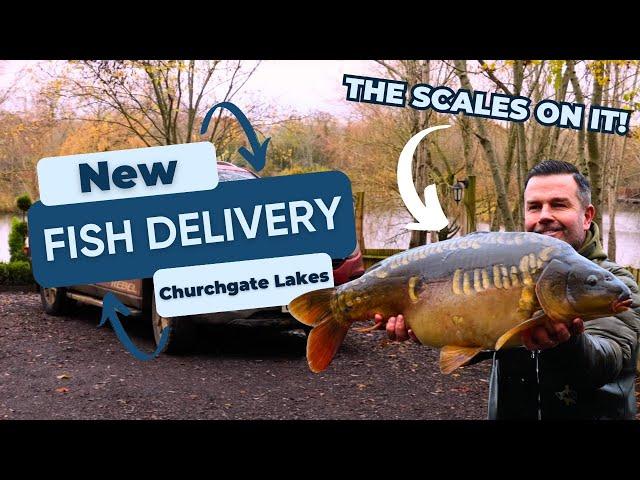 Churchgate Lakes - BRAND NEW stock for 2024! 