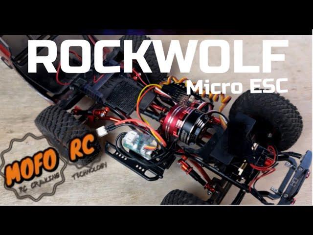 First Look: Mofo RC ROCKWOLF Micro ESC - Small Price, BIG Performance!!