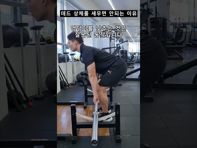 데드할 때 엉덩이를 내리는게 매우 잘못된 이유  #데드리프트