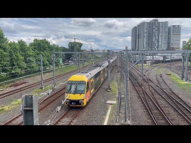 Sydney Trains Waratah A/B Sets & Tangara T Set at Clyde Railway Station