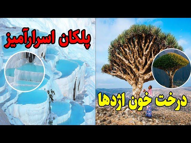 عجیب ترین جاهای جهان: مناطقی که باور نمی‌کنید وجود داشته باشند (قسمت دوم) : پدیده های طبیعی زیبا