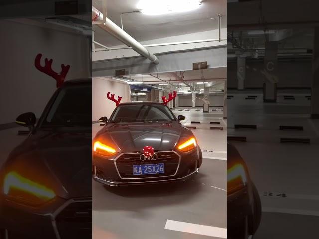 Reindeer antlers and red nose for your car #caraccessories #caraccessoryhq