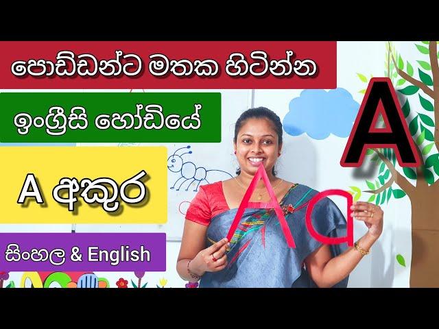 Letter A | Letter a | ඉංග්‍රීසි A අකුර | ඇ ශබ්දය | පොඩ්ඩන්ට මතක හිටින්න | Shani Teacher