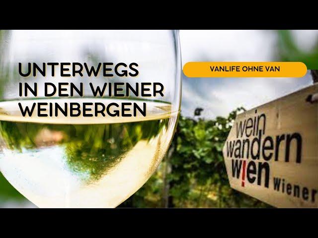 Wien | Wein | Wandern