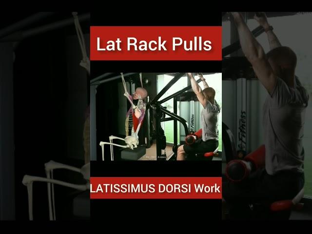 Lat Rack Pulls #innovation #movement #physicaltherapy #workout #shorts