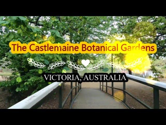 The Castlemaine Botanical Gardens || Victoria, Australia