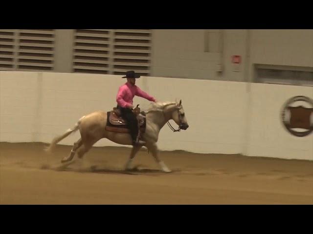 191003 Novice Horse Open Robert Rosenfeld on HF Money N The Mob
