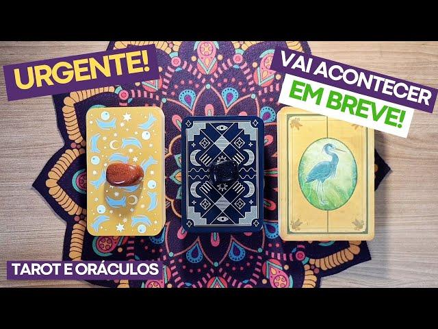 TAROT: URGENTE! Vai acontecer nos Próximos 7 Dias! | Tarot e Oráculos