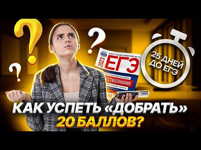 25 дней до ЕГЭ: как успеть «добрать» 20 баллов? |  Обществознание ЕГЭ УМСКУЛ