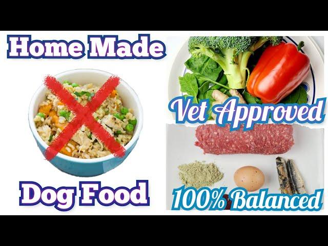 Homemade Dog Food Recipe | Vet Approved | 100% Balanced #barfdiet #homemadedogfood